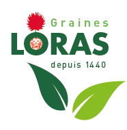SA GRAINES LORAS